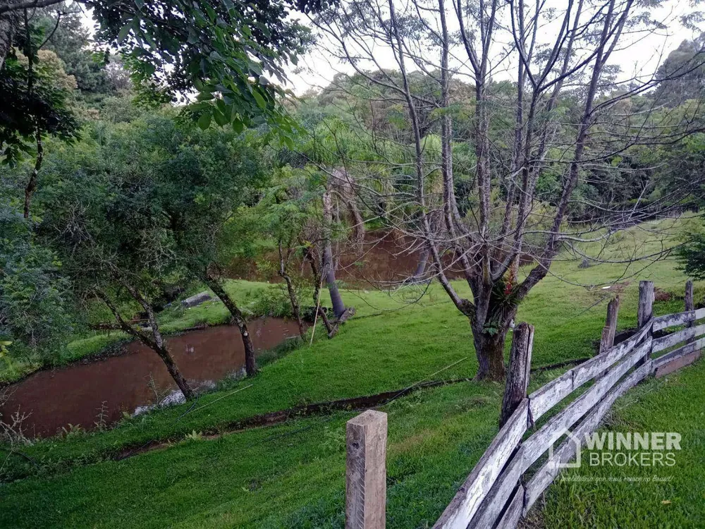 Chácara, 4 quartos, 1 hectares - Foto 7