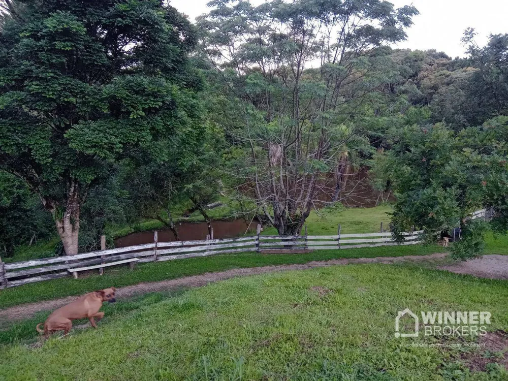 Chácara, 4 quartos, 1 hectares - Foto 6