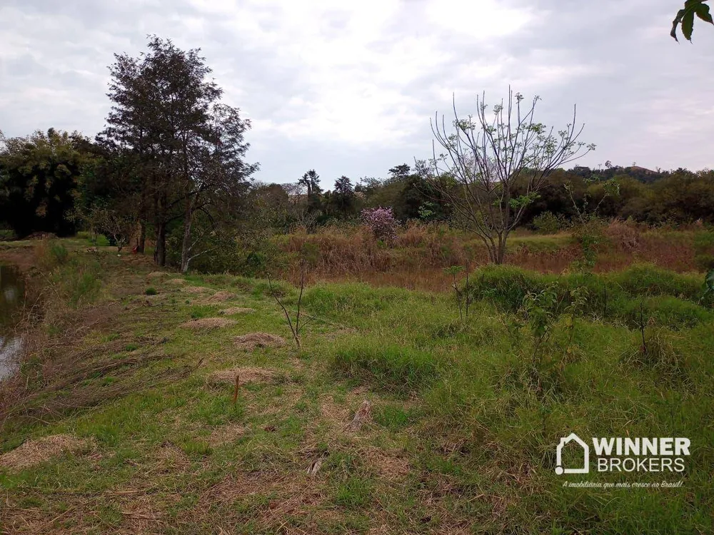 Terreno, 4 hectares - Foto 1