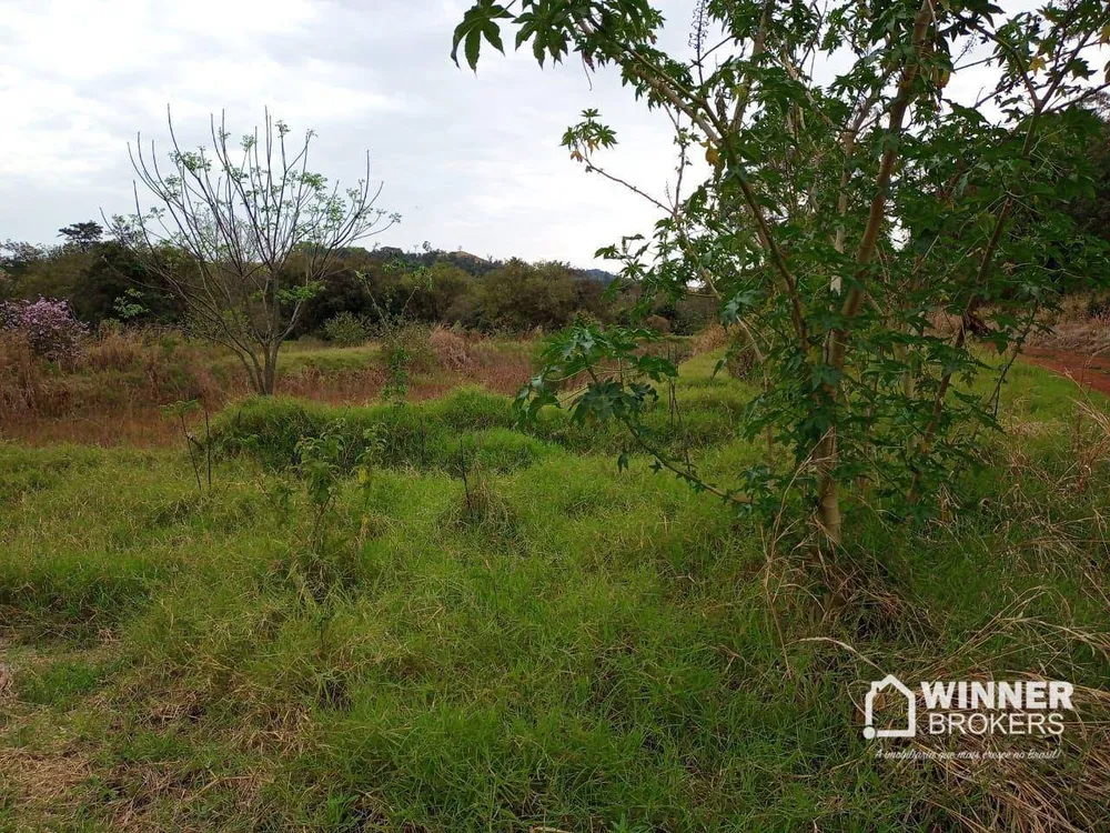 Terreno, 4 hectares - Foto 4