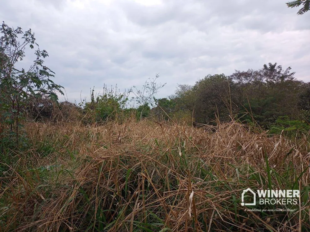 Terreno, 4 hectares - Foto 3