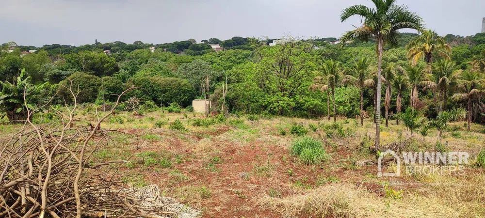 Chácara, 1 quarto, 15 hectares - Foto 1