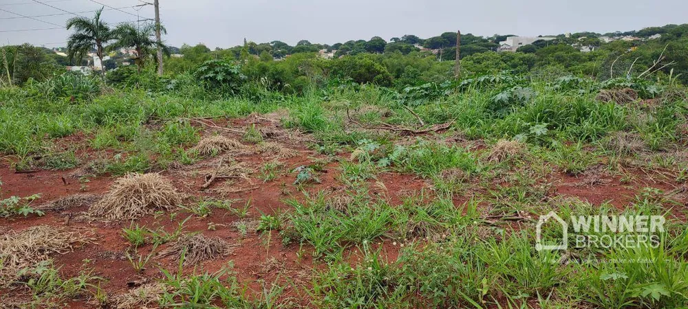 Chácara, 1 quarto, 15 hectares - Foto 4
