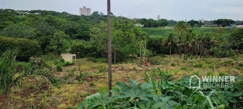 Chácara, 1 quarto, 15 hectares - Foto 3