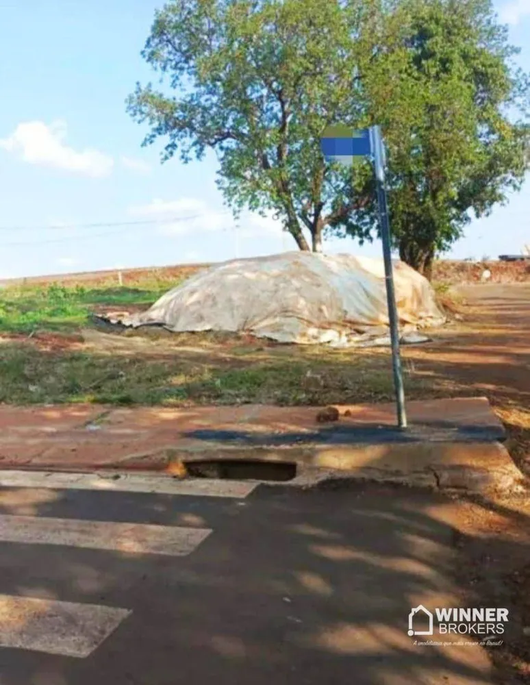 Terreno, 250 m² - Foto 2