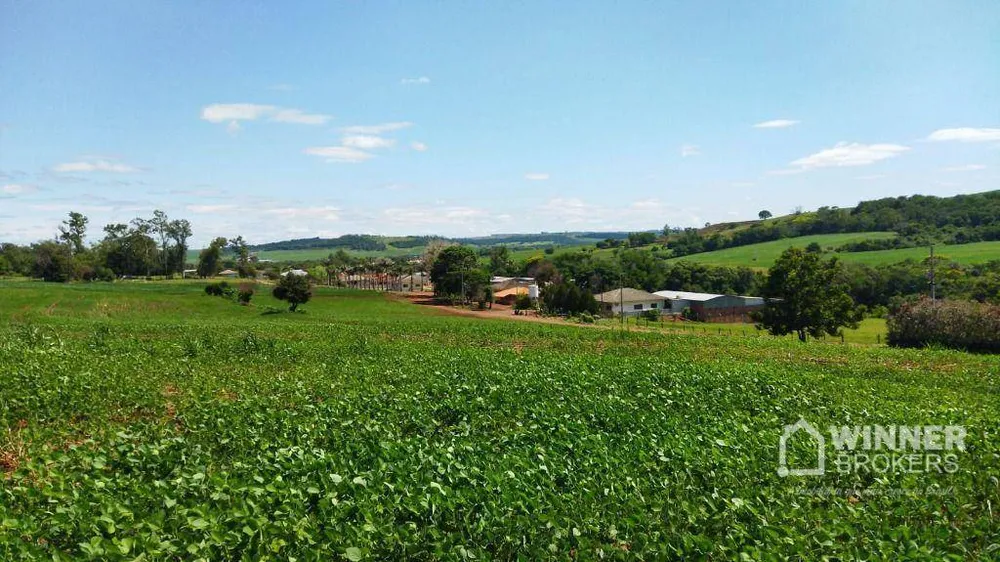 Chácara, 1 quarto, 1 hectares - Foto 10