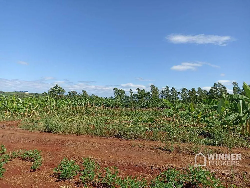 Chácara, 1 quarto, 1 hectares - Foto 4