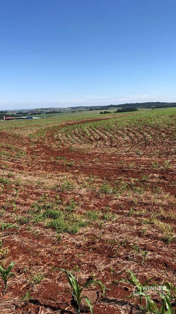 Terreno, 121000 hectares - Foto 1