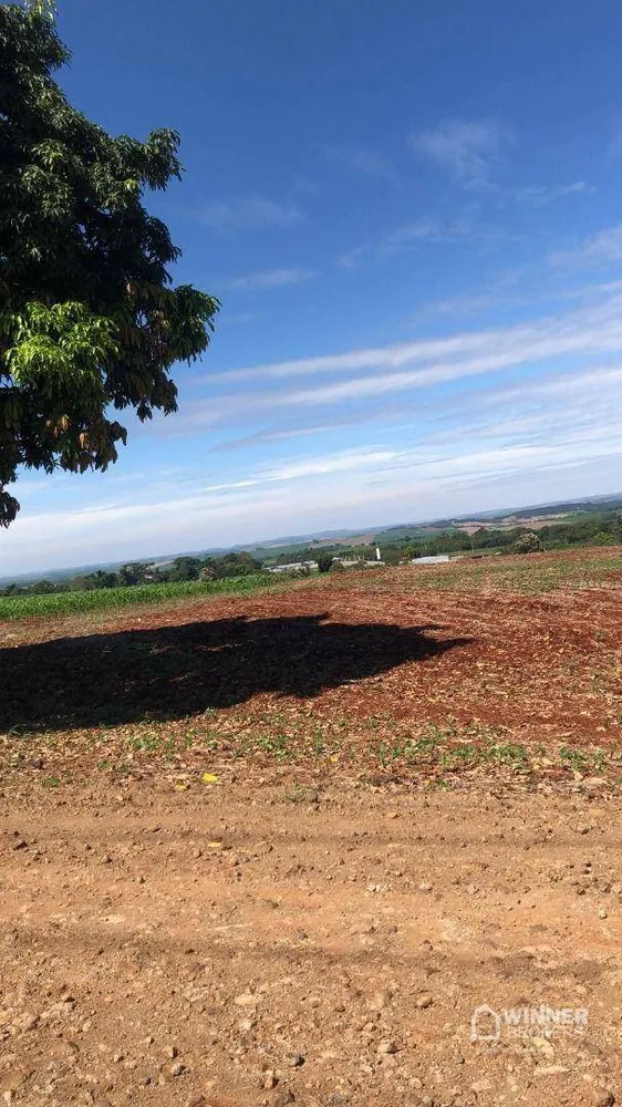 Terreno, 121000 hectares - Foto 6