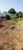 Terreno, 480 m² - Foto 4