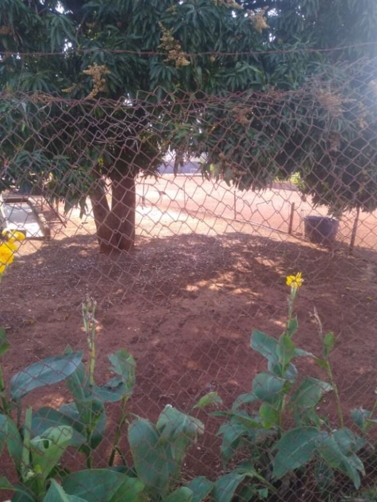 Chácara, 3 quartos, 2520 m² - Foto 4