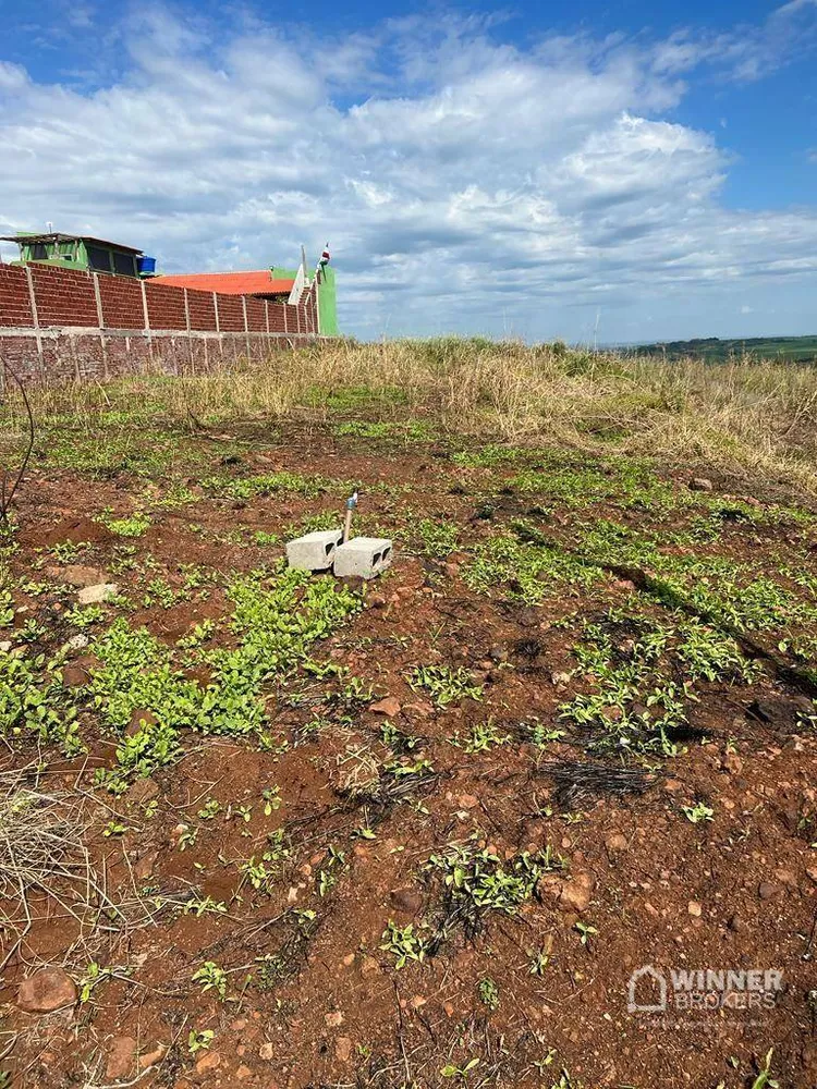 Chácara, 1000 m² - Foto 7