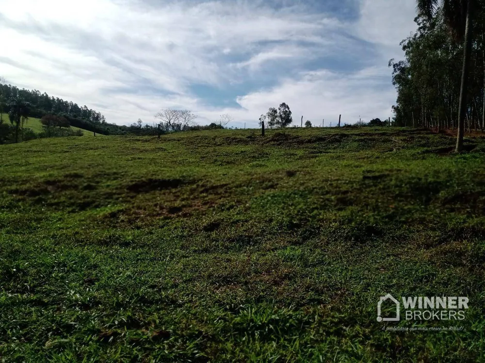 Chácara, 3 quartos, 5 hectares - Foto 18