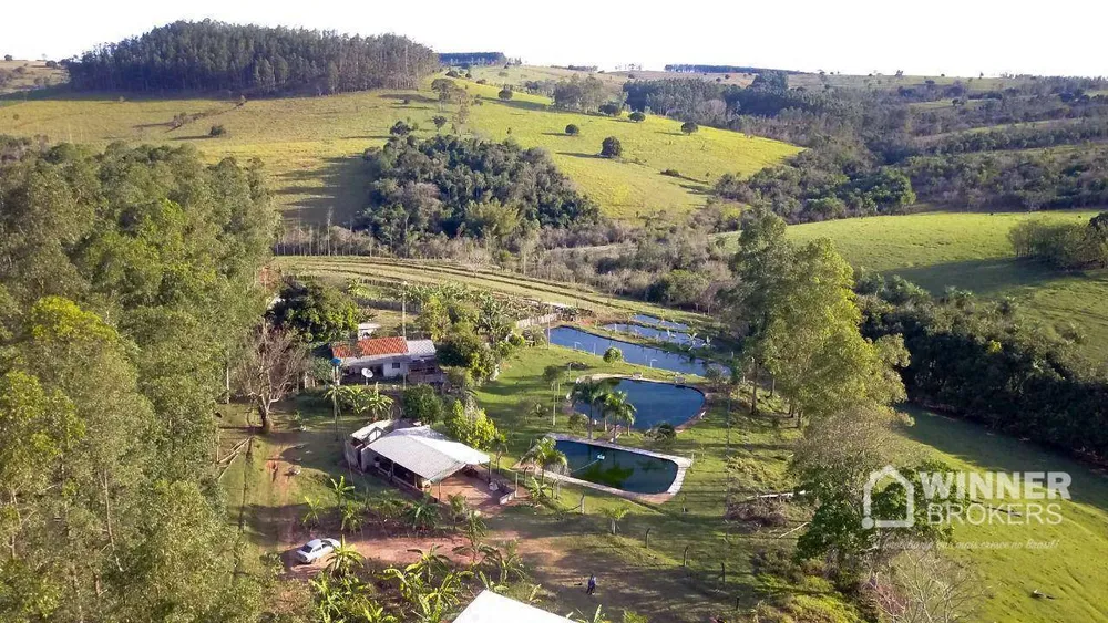 Chácara, 3 quartos, 5 hectares - Foto 22
