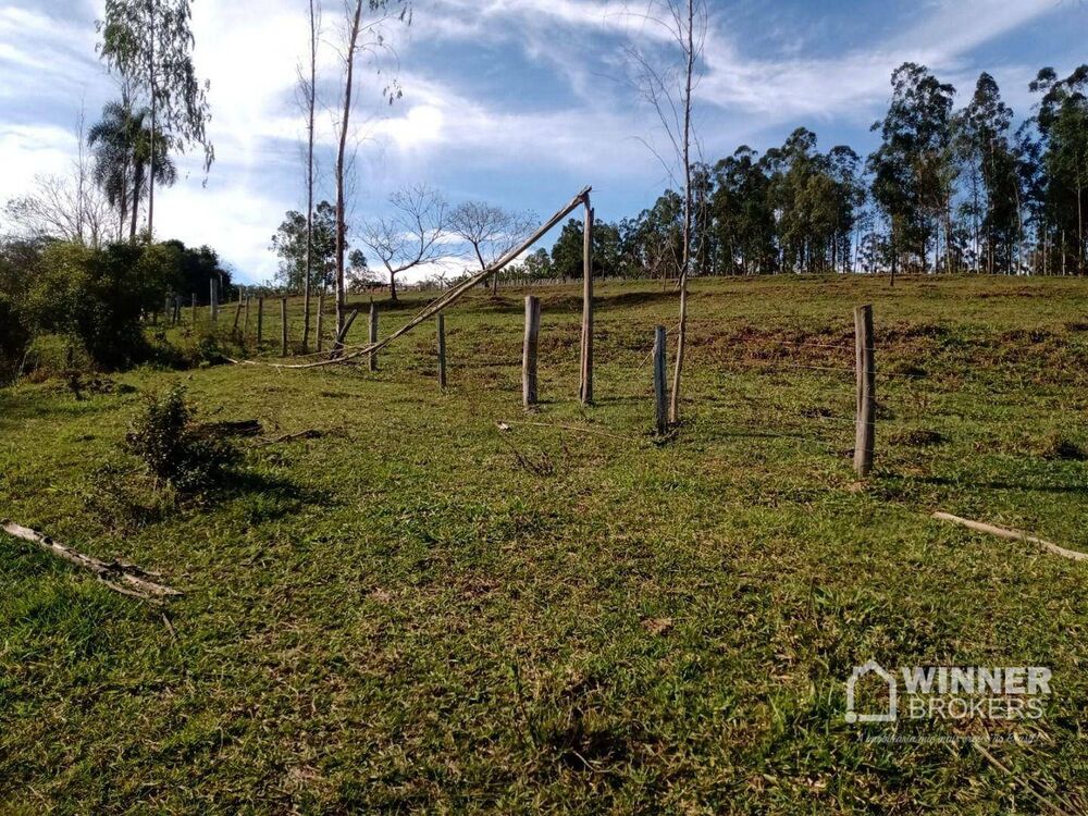 Chácara à venda com 3 quartos, 100m² - Foto 11