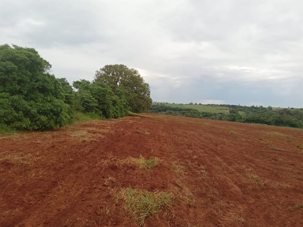 Sítio, 1 quarto, 20 hectares - Foto 4
