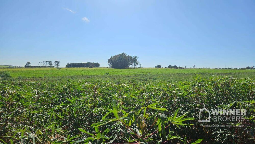 Sítio, 1 quarto, 20 hectares - Foto 1