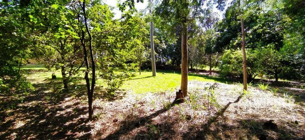 Chácara, 2 quartos, 2 hectares - Foto 4