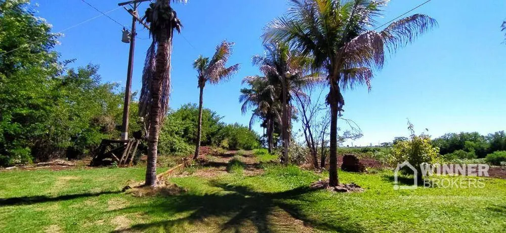 Chácara, 2 quartos, 2 hectares - Foto 3