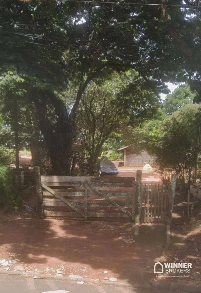 Chácara, 4 quartos, 4 hectares - Foto 1