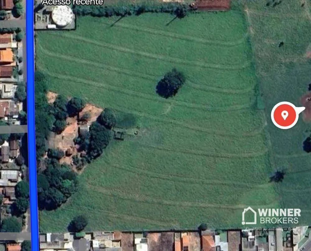 Chácara, 4 quartos, 4 hectares - Foto 4