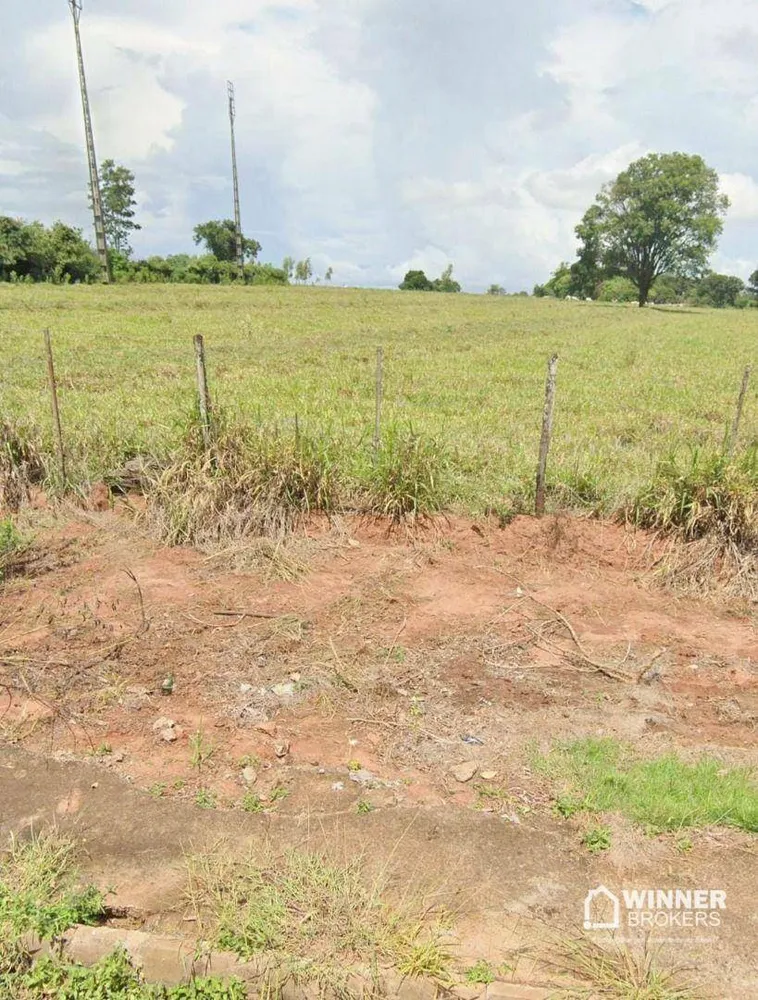 Chácara, 4 quartos, 4 hectares - Foto 3