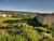 Terreno, 4 hectares - Foto 3