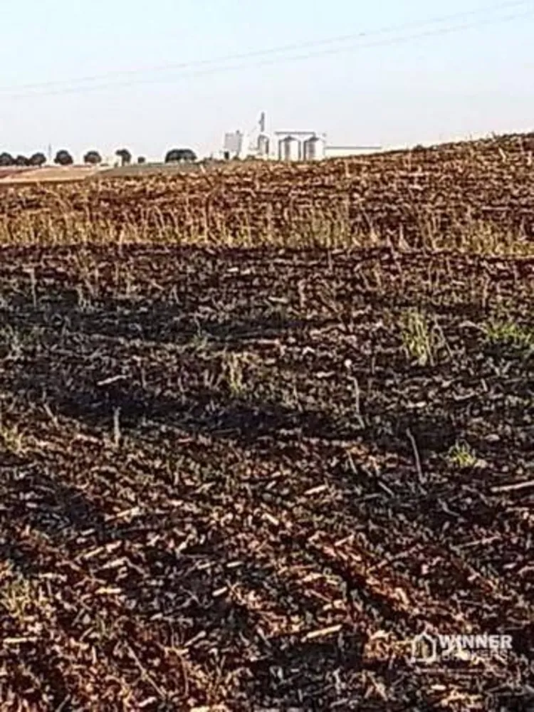 Chácara, 1 quarto, 3 hectares - Foto 4