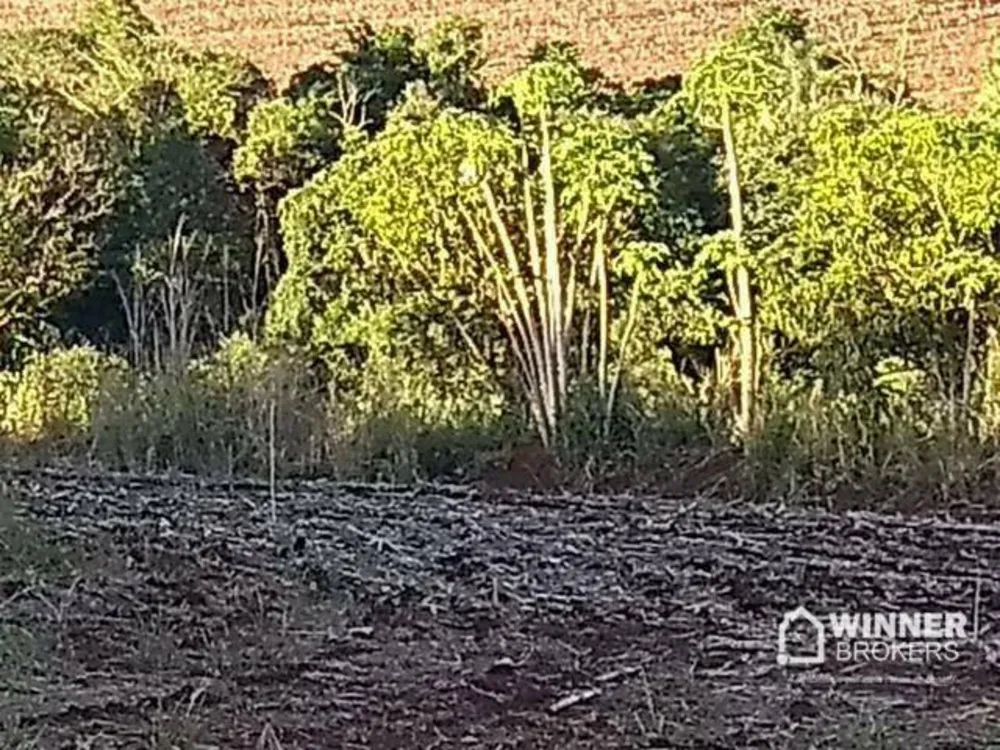 Chácara, 1 quarto, 3 hectares - Foto 2