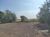 Chácara, 3 quartos, 1 hectares - Foto 4