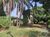 Chácara, 3 quartos, 1 hectares - Foto 1