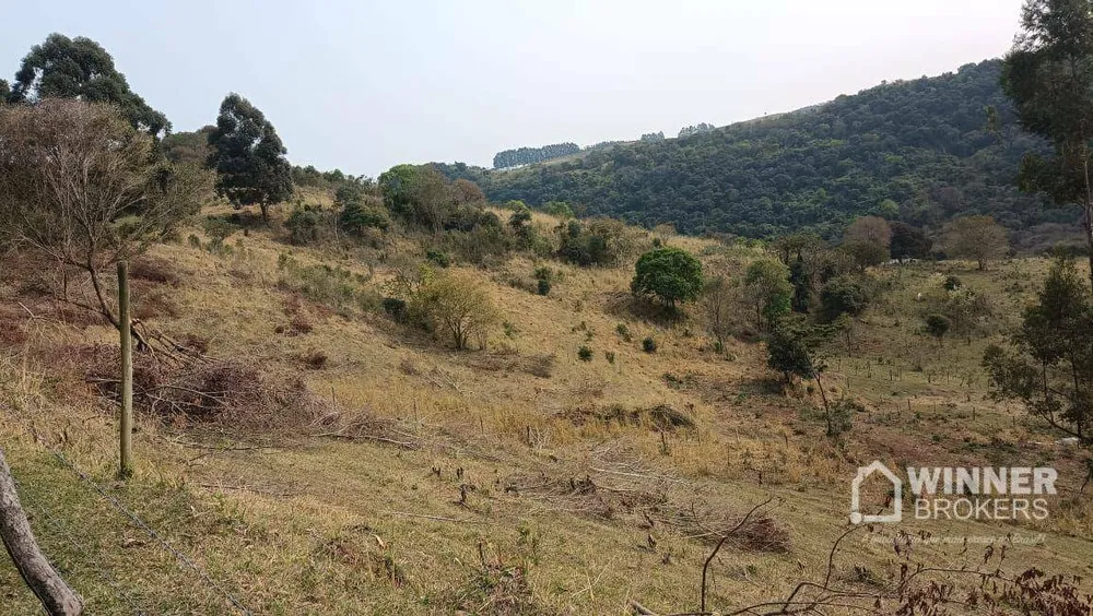Sítio, 4 quartos, 34 hectares - Foto 2