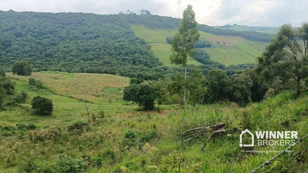 Sítio, 4 quartos, 34 hectares - Foto 6
