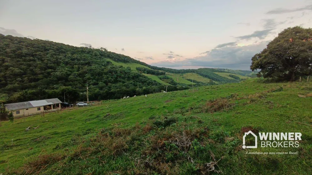 Sítio, 4 quartos, 34 hectares - Foto 4