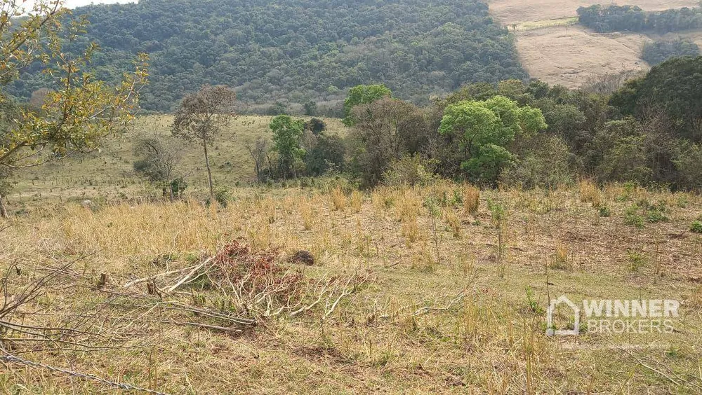 Sítio, 4 quartos, 34 hectares - Foto 1