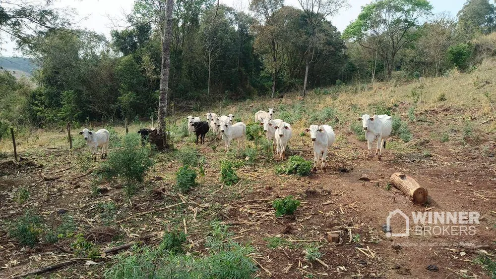 Sítio, 4 quartos, 34 hectares - Foto 3