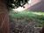 Terreno, 452 m² - Foto 4