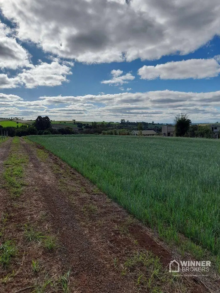 Chácara, 2 hectares - Foto 2