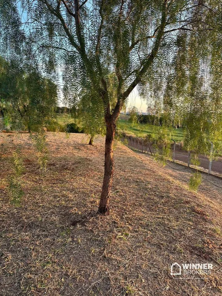 Terreno, 2000 m² - Foto 7