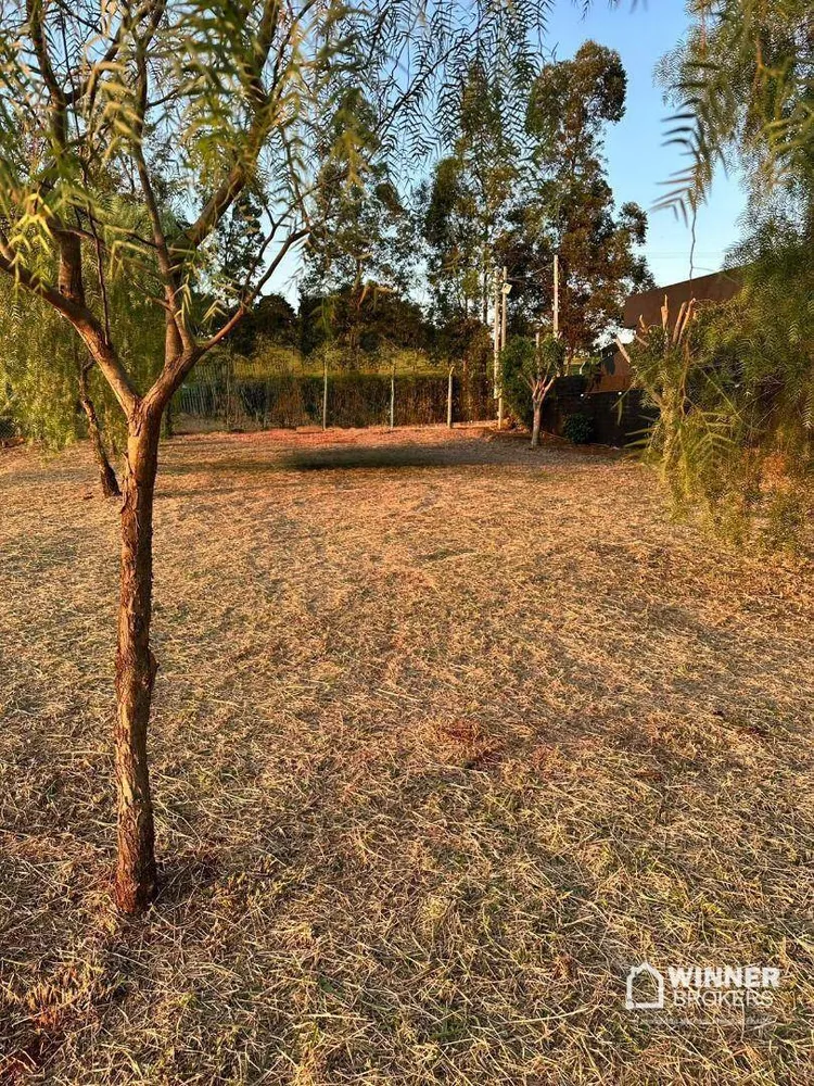 Terreno, 2000 m² - Foto 1