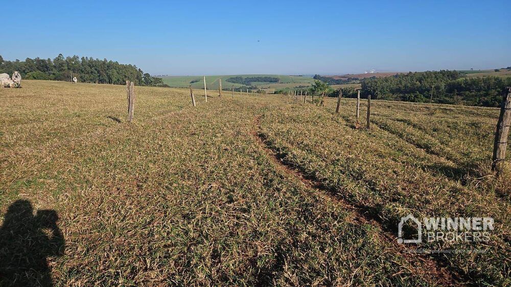 Sítio, 1 quarto, 24 hectares - Foto 2