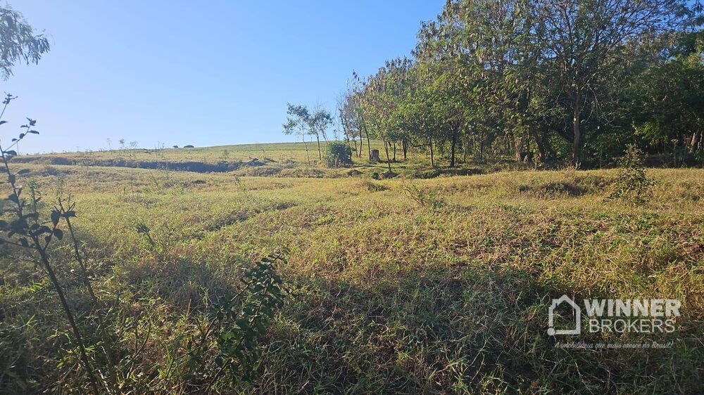 Sítio, 1 quarto, 24 hectares - Foto 3