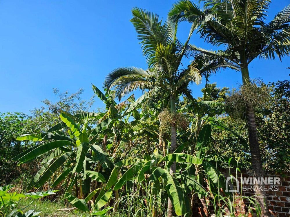 Chácara, 2 quartos, 500 m² - Foto 8