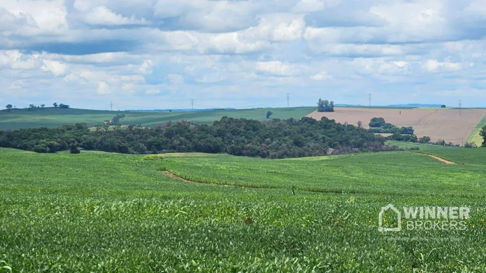 Sítio, 1 quarto, 24 hectares - Foto 2