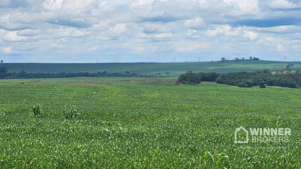 Sítio, 1 quarto, 24 hectares - Foto 1