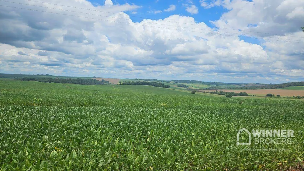 Sítio, 1 quarto, 24 hectares - Foto 3