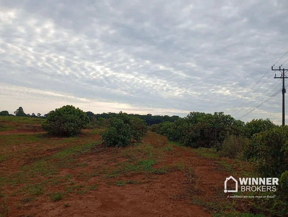 Terreno, 5 hectares - Foto 4