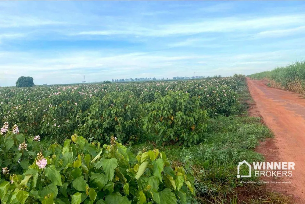 Terreno, 5 hectares - Foto 2