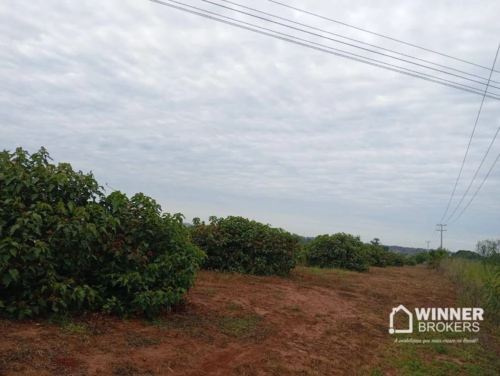 Terreno, 5 hectares - Foto 3