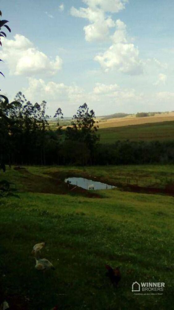Chácara, 3 quartos, 5 hectares - Foto 2